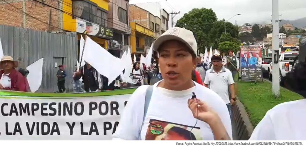 Nuevas organizaciones sociales en Colombia, UPAZSUR y las Guardias&nbsp;Campesinas.