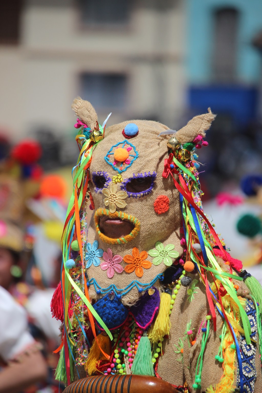 Reportaje fotográfico: 3 de enero “CANTO A LA TIERRA” Desfile de colectivos coreográficos en el carnaval de Negros y blancos&nbsp;2026.